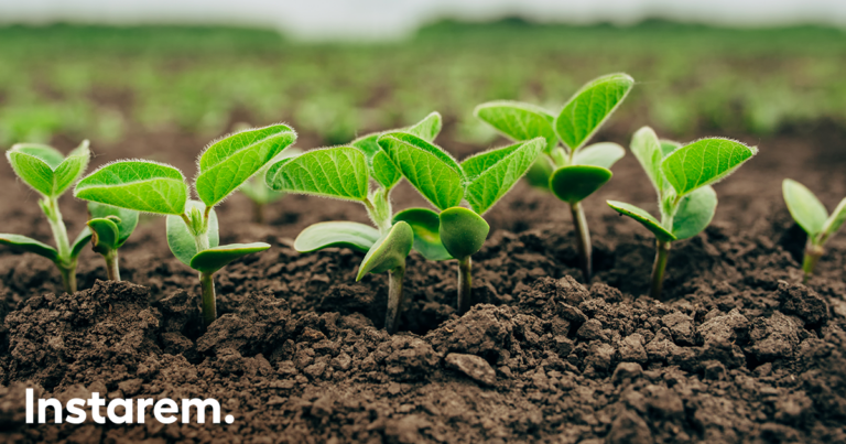 The complete guide to World Wide Opportunities on Organic Farms