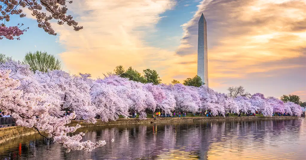 tidal basin